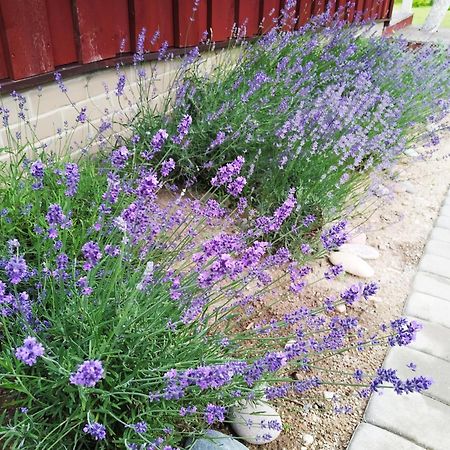 9 Min From Palanga! Luxury House On The River And Sauna クレチンガ エクステリア 写真