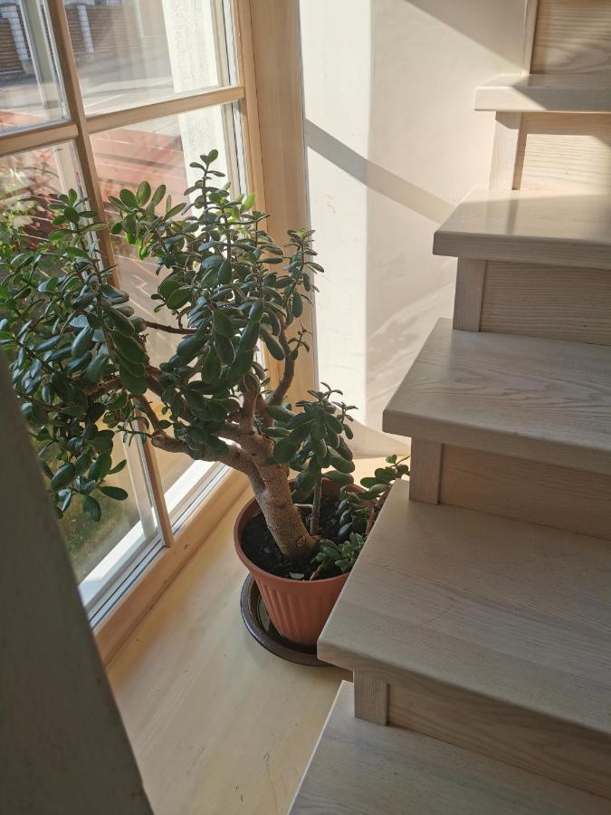 9 Min From Palanga! Luxury House On The River And Sauna クレチンガ エクステリア 写真